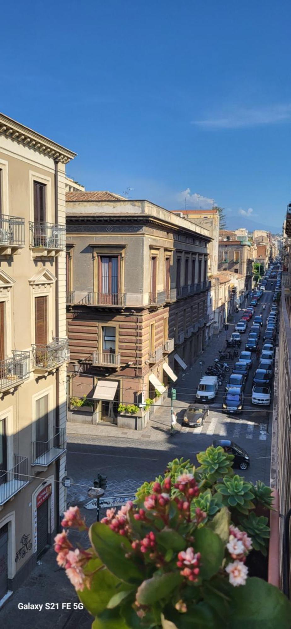 La Norma CTA